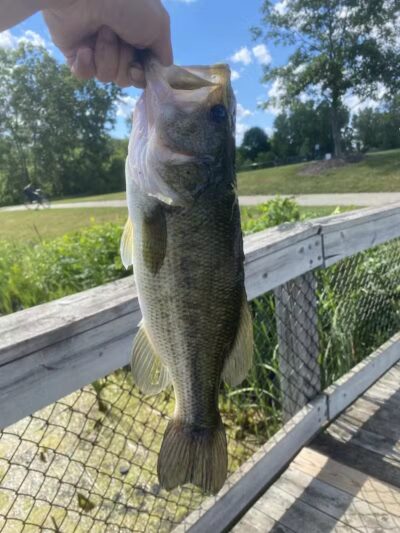 Whistlestop Park - Byron Center, MI