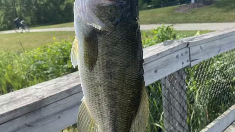 Whistlestop Park - Byron Center, MI