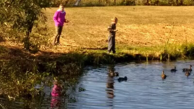 Whistlestop Park - Byron Center, MI