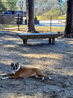 Harvest Bark Park - Byron, GA