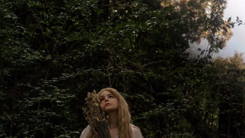 Harvest Bark Park - Byron, GA