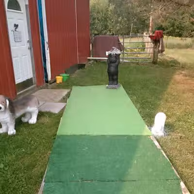 June's Pet Grooming - Byron, MI