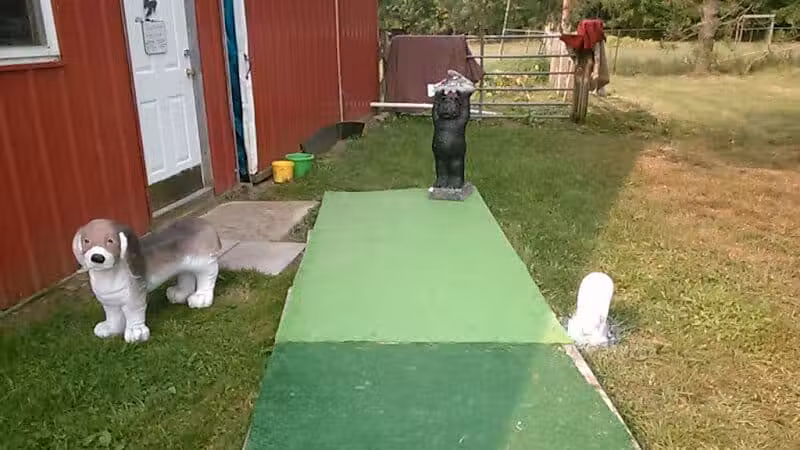 June's Pet Grooming - Byron, MI
