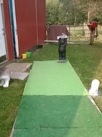 June's Pet Grooming - Byron, MI