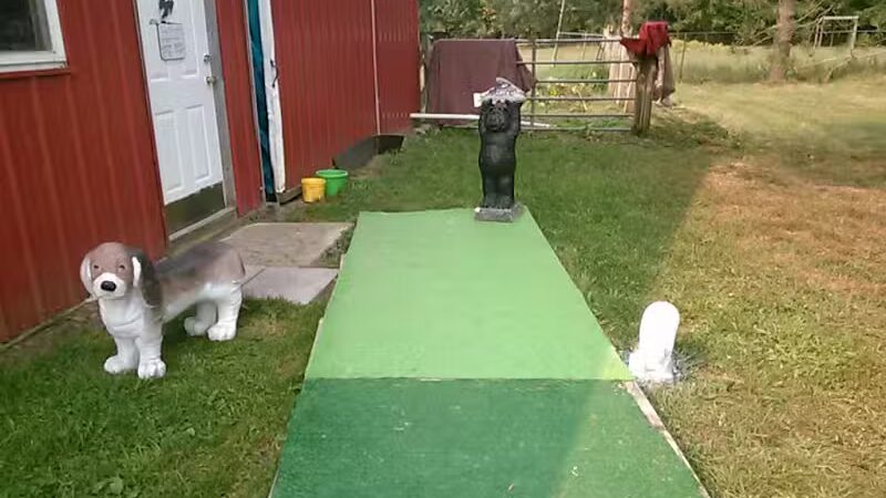 June's Pet Grooming - Byron, MI