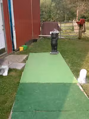 June's Pet Grooming - Byron, MI