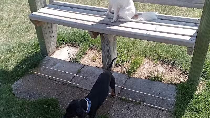 Cadillac Dog Park - Cadillac, MI