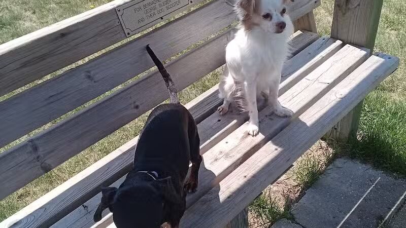 Cadillac Dog Park - Cadillac, MI