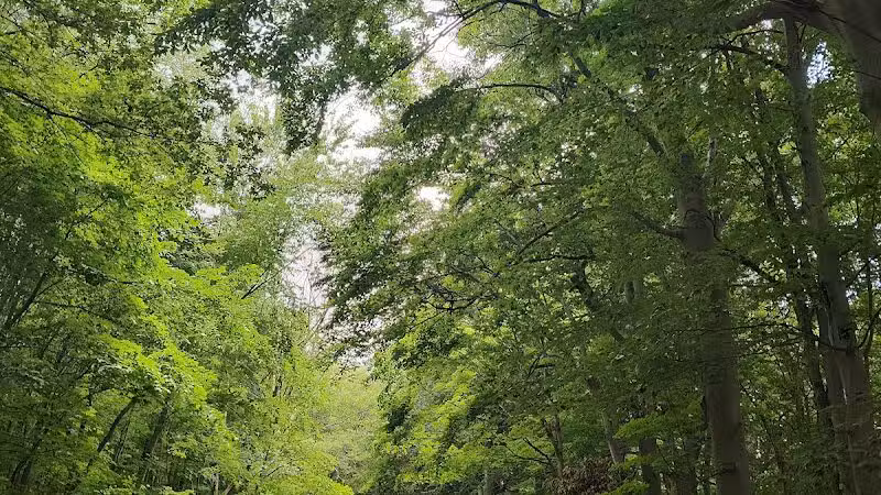 Caledonia Community Green Dog Park - Caledonia, MI