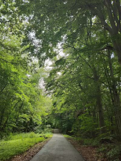 Caledonia Community Green Dog Park - Caledonia, MI