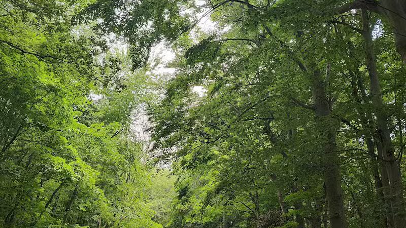 Caledonia Community Green Dog Park - Caledonia, MI