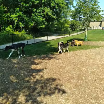 Caledonia Community Green Dog Park - Caledonia, MI