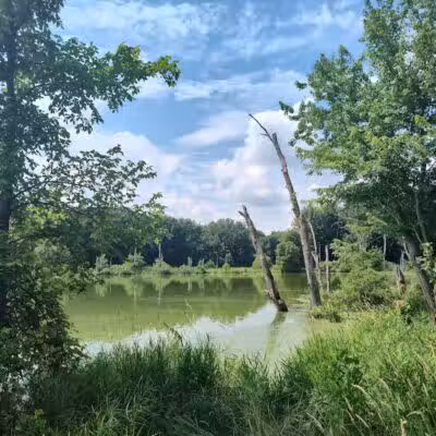 Caledonia Community Green Dog Park - Caledonia, MI