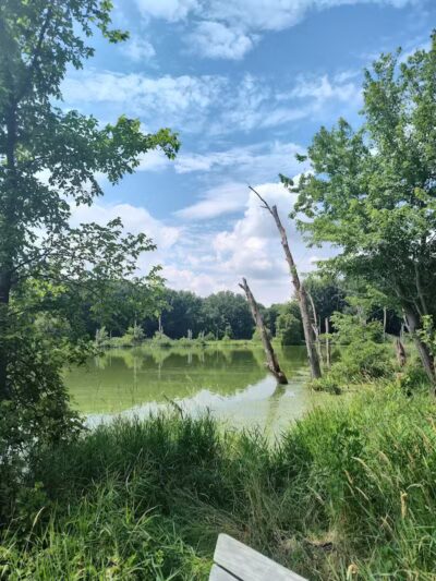 Caledonia Community Green Dog Park - Caledonia, MI