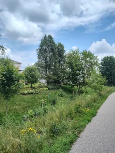 Caledonia Community Green Dog Park - Caledonia, MI