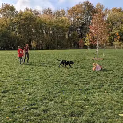 Caledonia Community Green Dog Park - Caledonia, MI