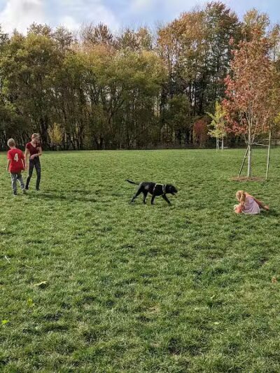 Caledonia Community Green Dog Park - Caledonia, MI
