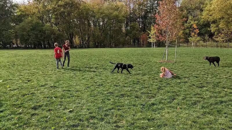 Caledonia Community Green Dog Park - Caledonia, MI