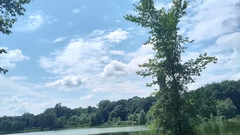 Caledonia Community Green Dog Park - Caledonia, MI