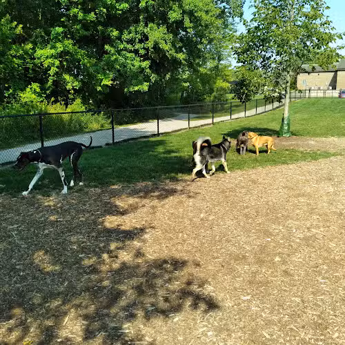 Caledonia Community Green Dog Park - Caledonia, MI