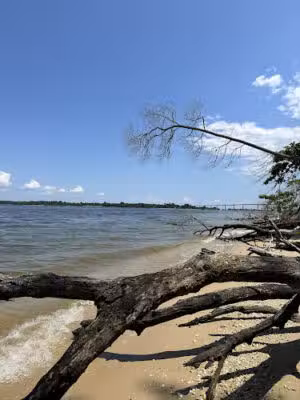 Dog Beach - California, MD