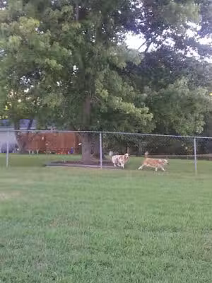 St. Andrews Estates Park - California, MD