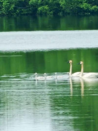 Calumet Lions Park - Calumet,
