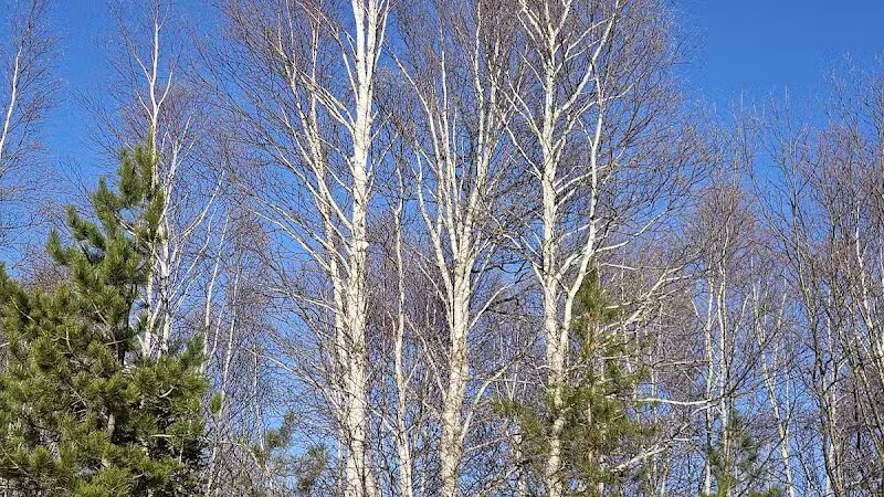 Calumet Lions Park - Calumet,