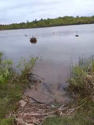 Calumet Lions Park - Calumet,