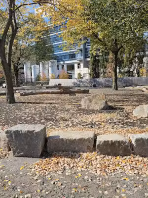 Binney Street Dog Park - Cambridge, MA