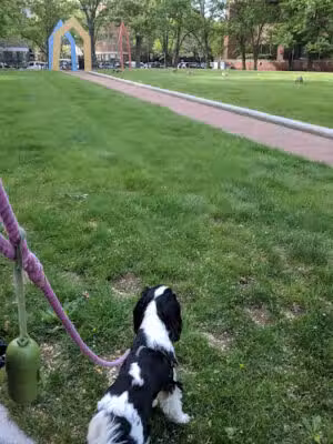 Charles Park - Cambridge, MA