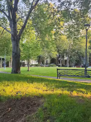 Dana Square Park - Cambridge, MA