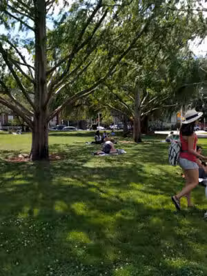 Joan Lorentz Park - Cambridge, MA