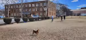 Timothy J. Toomey, Jr. Park - Cambridge, MA