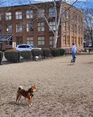 Timothy J. Toomey, Jr. Park - Cambridge, MA
