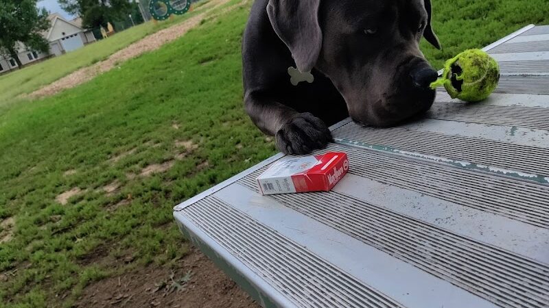 Cambridge Dog Park - Cambridge, MN
