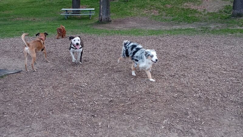 Cambridge Dog Park - Cambridge, MN