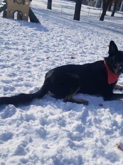 Cambridge Dog Park - Cambridge, MN