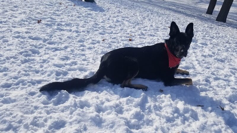 Cambridge Dog Park - Cambridge, MN