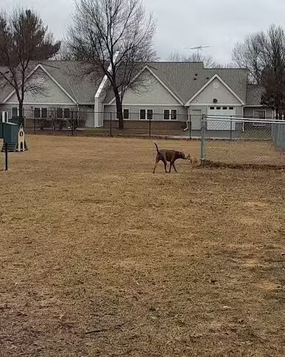 Cambridge Dog Park - Cambridge, MN