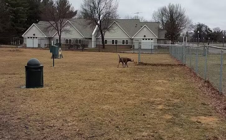 Cambridge Dog Park - Cambridge, MN