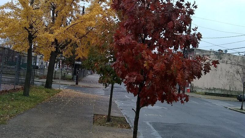 4th & Washington Park - Camden, NJ