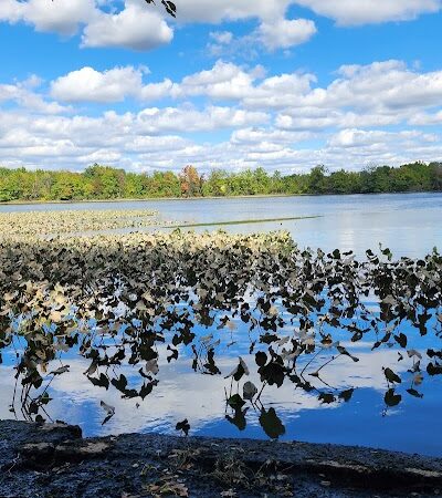 Farnham Park - Camden, NJ