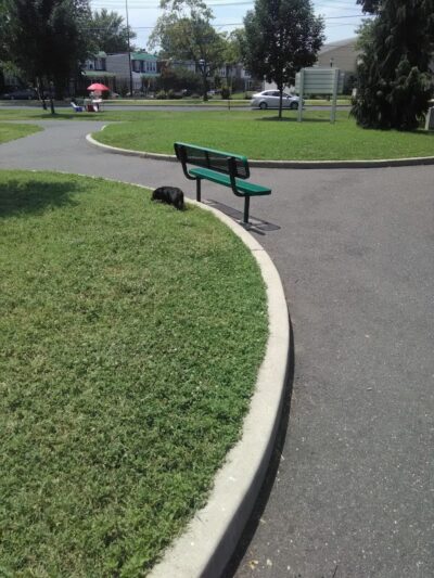 Farnham Park - Camden, NJ