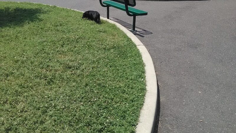 Farnham Park - Camden, NJ