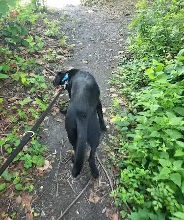 Farnham Park - Camden, NJ