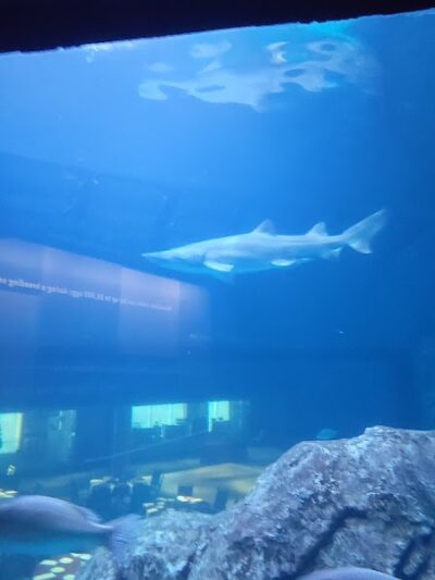 Johnson Park - Camden, NJ