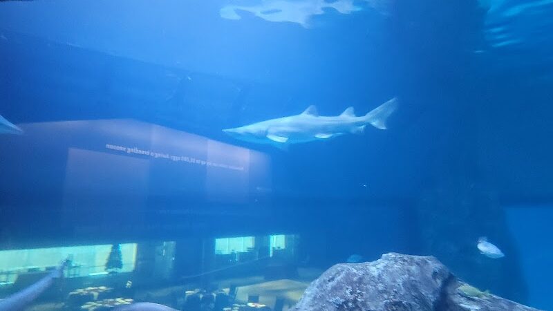 Johnson Park - Camden, NJ