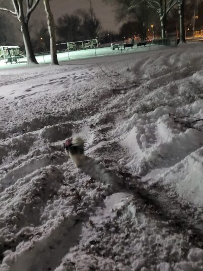 Parque latinos unidos - Camden, NJ