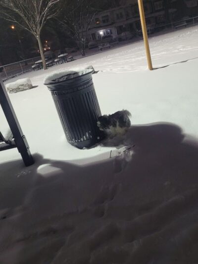 Parque latinos unidos - Camden, NJ